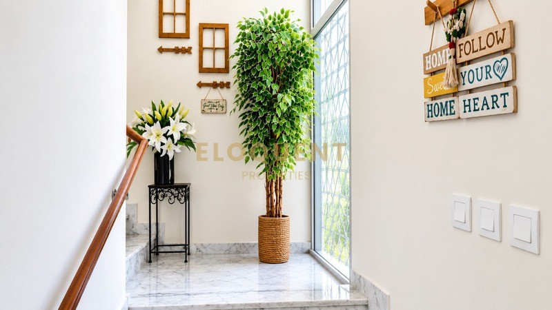 Properties Image